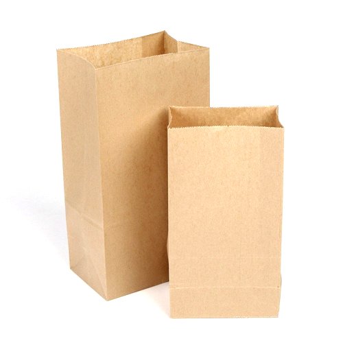 Plain Parcel Brown Paper Bag